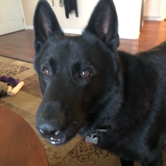 Meet your Posher, J Broussard - Picture 2 of 6